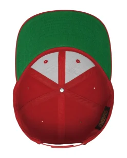 FLEXFIT Classic snapback Hot