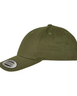 FLEXFIT Curved classic snapback - Vihreä New